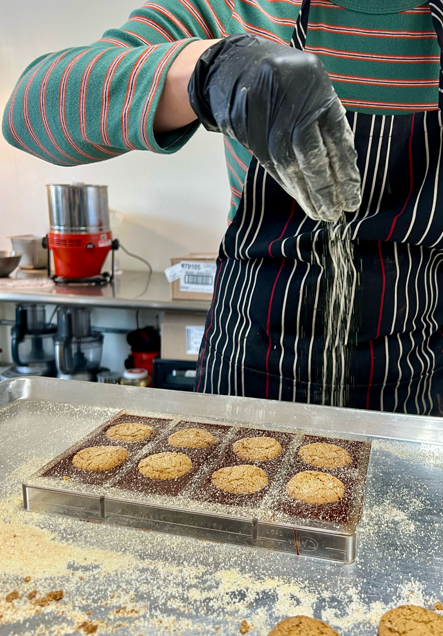 Ginger Snap Dark Chocolate Bar